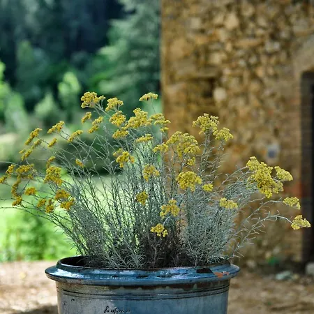 Vendégház Les Jardins De Falguiere 3*