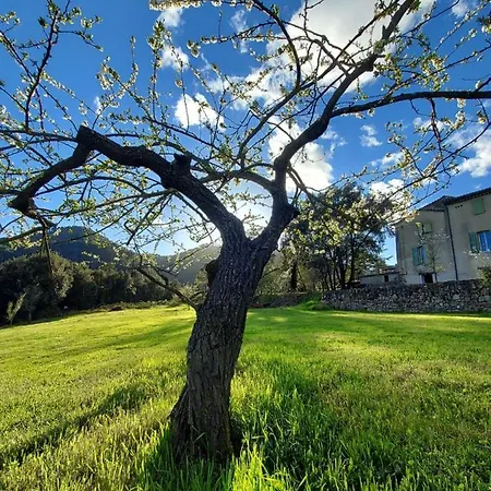 Les Jardins De Falguiere 3* 생장뒤가르