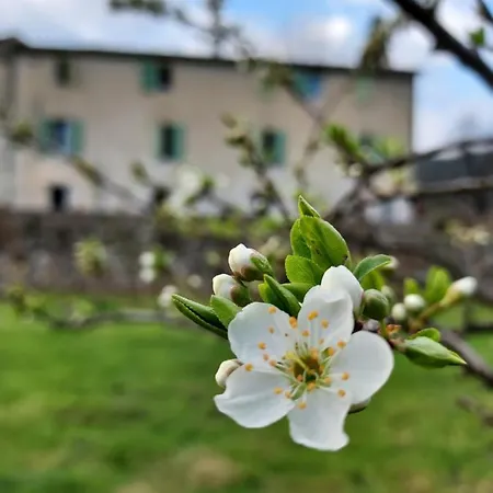게스트하우스 Les Jardins De Falguiere 생장뒤가르