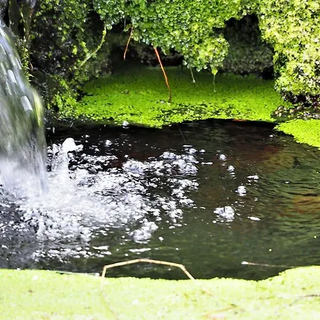Gasthof Les Jardins De Falguiere *