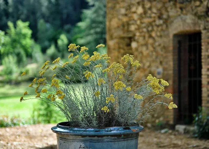 Maison d'hôtes Les Jardins De Falguière 3*