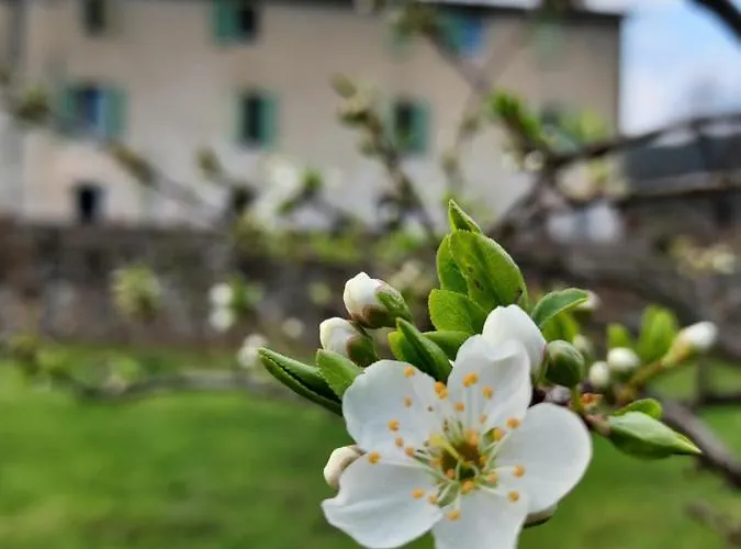 Affittacamere Les Jardins De Falguière Saint-Jean-du-Gard