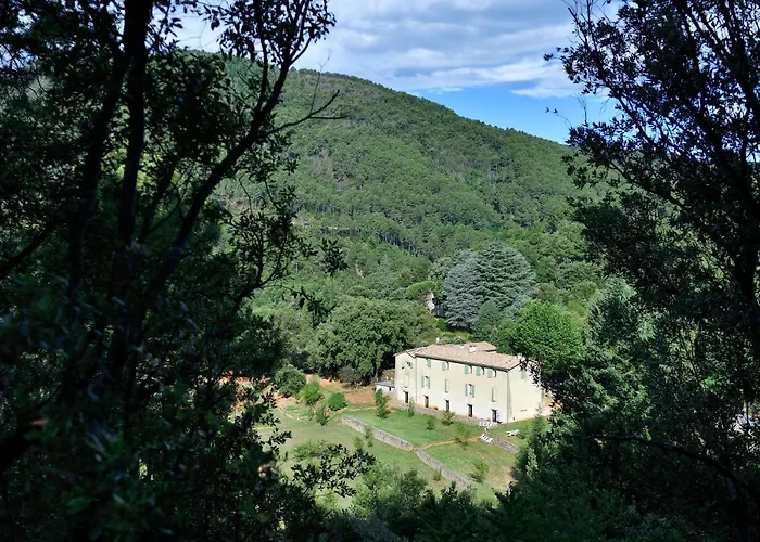 Les Jardins De Falguière Maison d'hôtes Saint-Jean-du-Gard