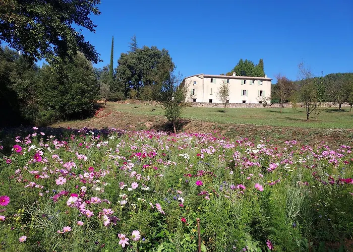 Les Jardins De Falguière Maison d'hôtes